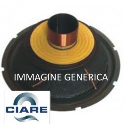 Recone Kit CIARE 8Ω per PW391