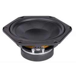 MIDRANGE 6" 100W RMS 8Ω 91dB