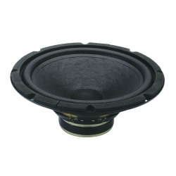 CIARE HW250 WOOFER 250mm 180W Max 8Ω