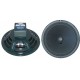 JENSEN P10Q WOOFER 10" ALNICO 80W MAX 16Ω