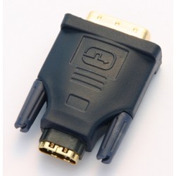 Adattatore Maschio DVI / Femmina HDMI dorato