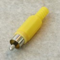 PAE-RPS013