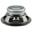 SIC-Z005091