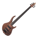 Bass guitar