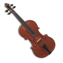 Violini ed Archi